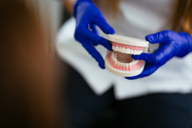 Best Preventive Dentistry  in Churchill, PA